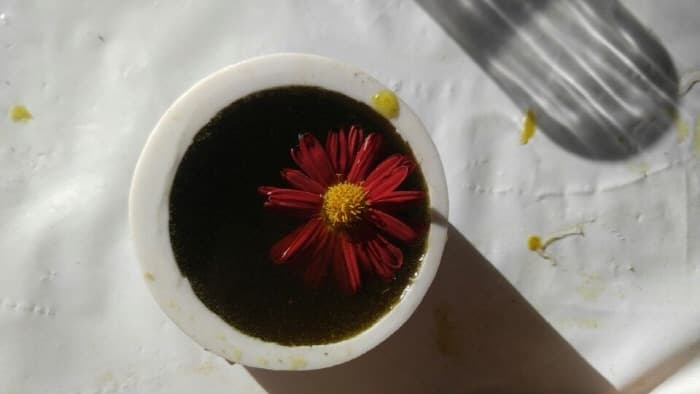 Seosan Chrysanthemum Festival (서산국화축제)