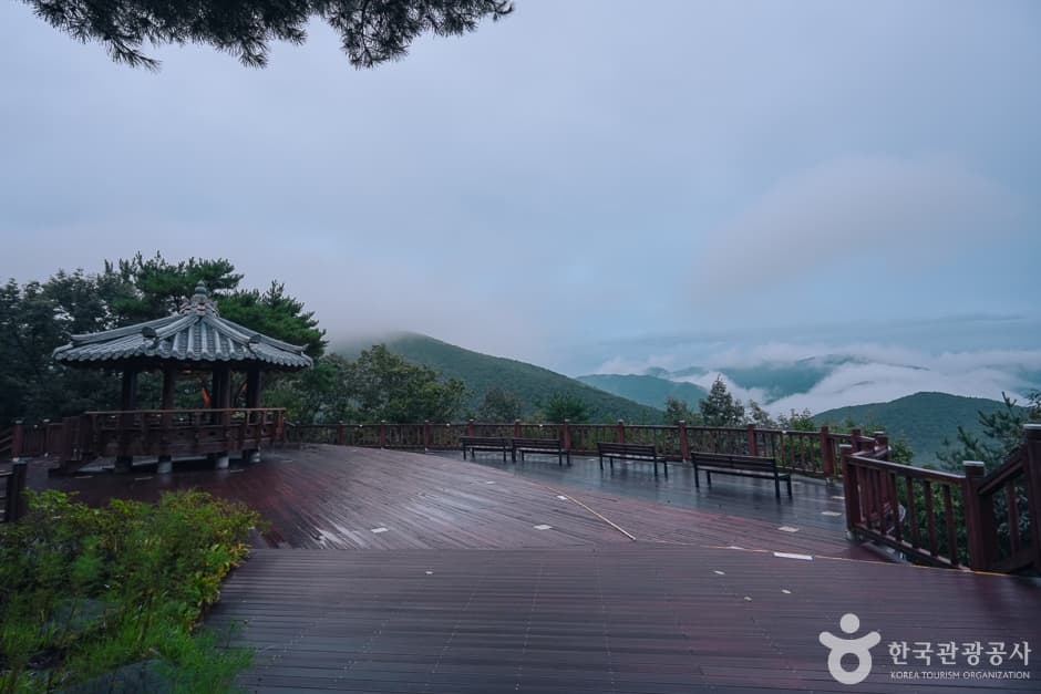 N02756_충남_보령_옥마산(4)