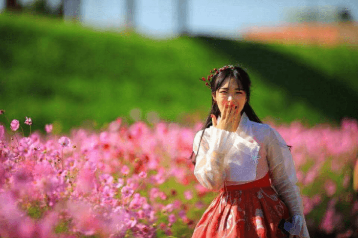 서산국화축제 2018 (5)