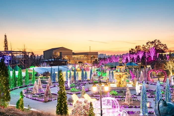 First Garden Light Festival (퍼스트가든 빛축제 - 별빛이 흐르는 정원)