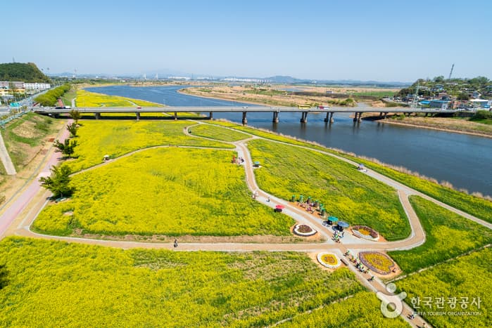 Yeongsangang River (영산강)