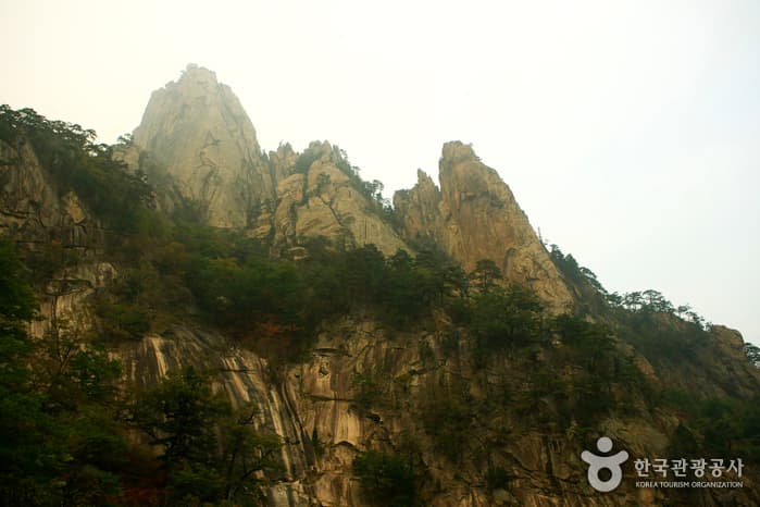 설악산국립공원 비선대_1