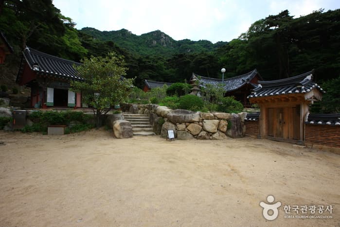 철기문화의 중심국가, 가야를 만나다