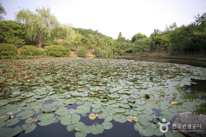 경상남도수목원