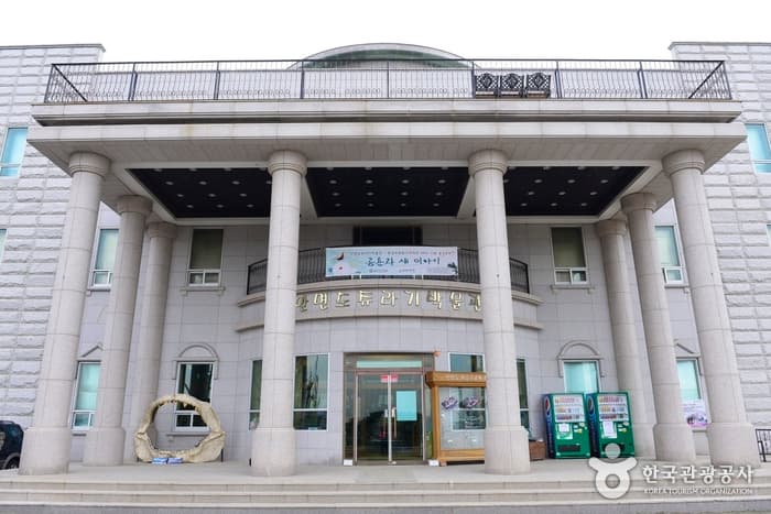 충남_태안_안면도 쥬라기박물관02