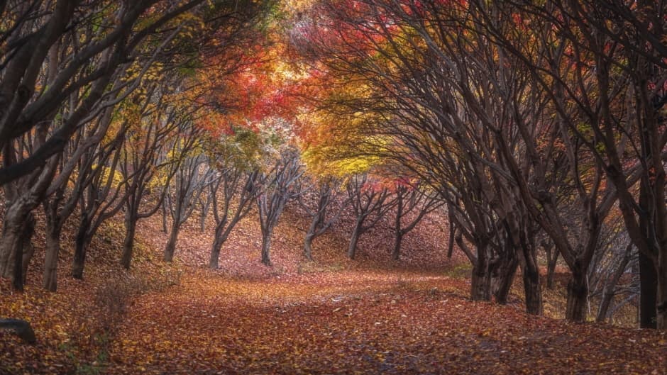 독립기념관(5)