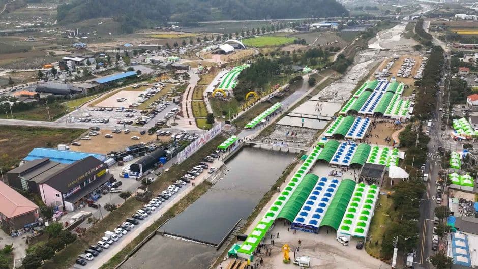 2024 경북영주 풍기인삼축제 2