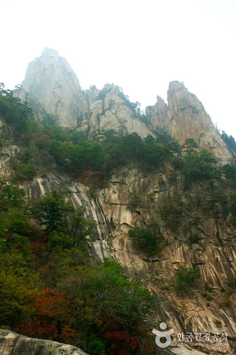 설악산국립공원 비선대_2