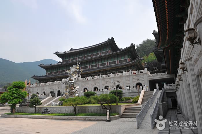 강원종합박물관