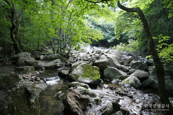 지리산자연휴양림