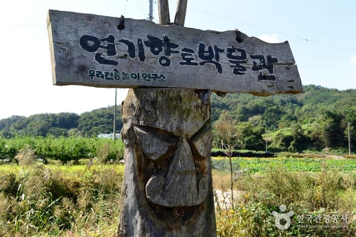 燕岐乡土博物馆(연기향토박물관)