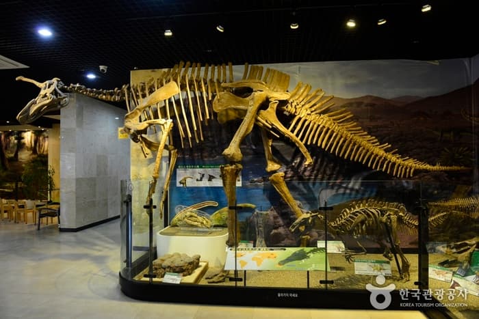충남_태안_안면도 쥬라기박물관03