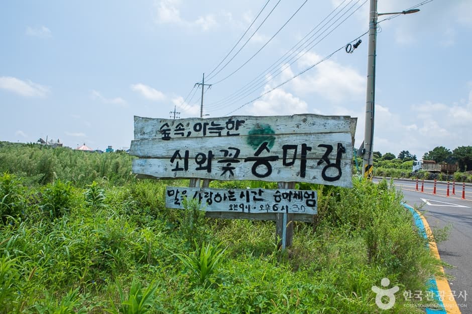 쇠와꽃승마장