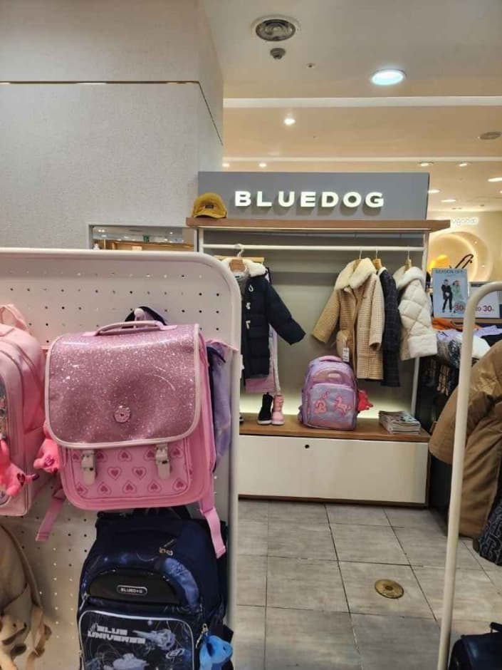 [事后免税店]BLUEDOG블루독