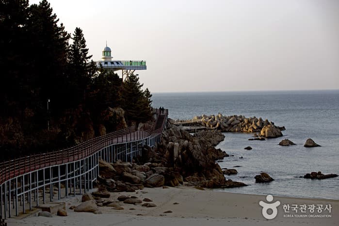 河赵台步道(하조대 둘레길)