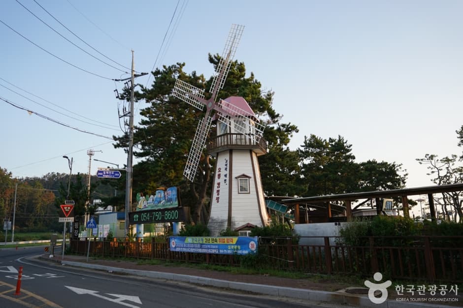 오류고아라해변 (11)
