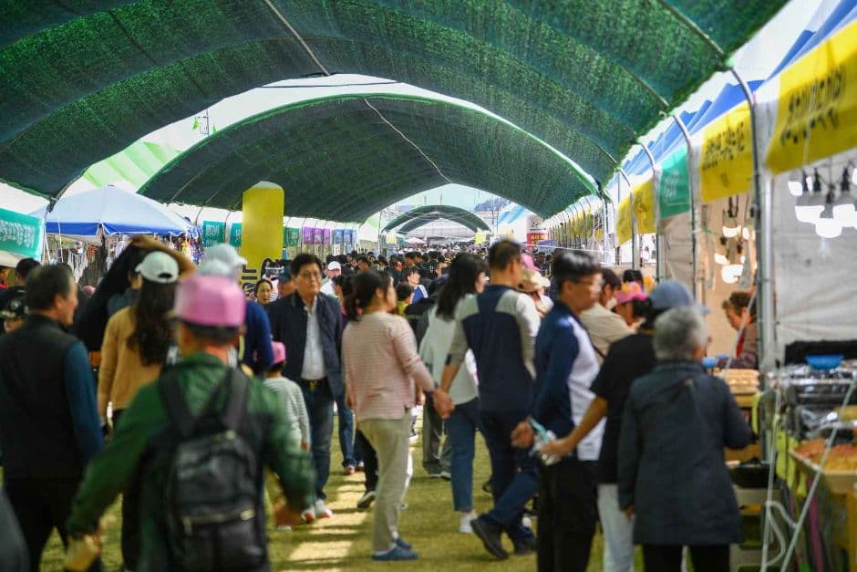2024 경북영주 풍기인삼축제 4