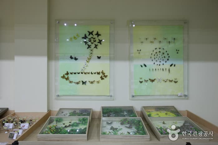 전라북도_정읍시_내장산 탐방안내소_023