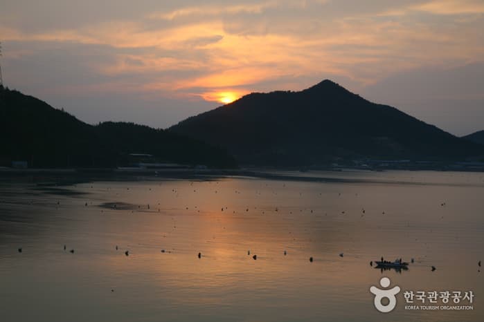 전남_강진_마량항과 23번 국도 여행 1