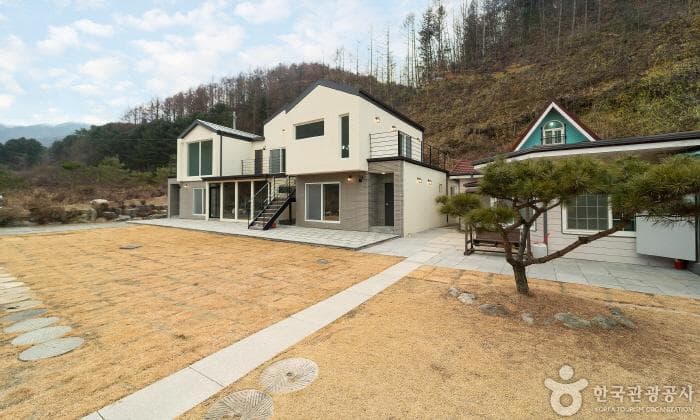 경기_레몬그라스_족구장