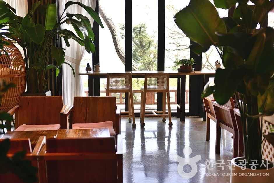 전남_보성_카페 위로 (14)