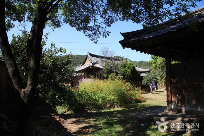 경남_산청_남사예담촌 (2)