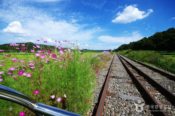 충남_아산_아산레일바이크04
