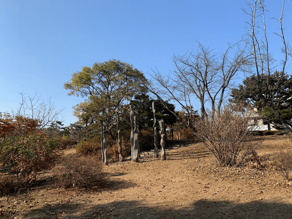 평택호예술공원_나무