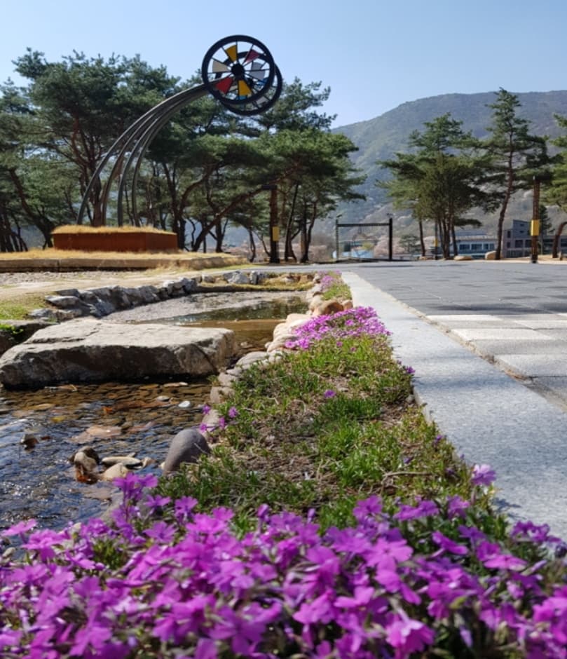 문경오미자테마터널 (3)