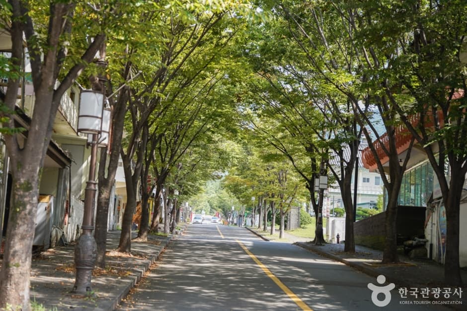 불리단길 (12)