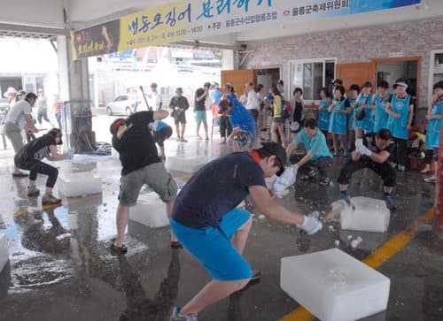 울릉도 오징어축제 2012