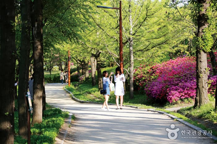 청사초롱_마음을 나누는 엄마 딸 여행_01선유도공원