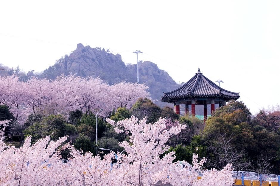 목포유달산봄축제 (3)