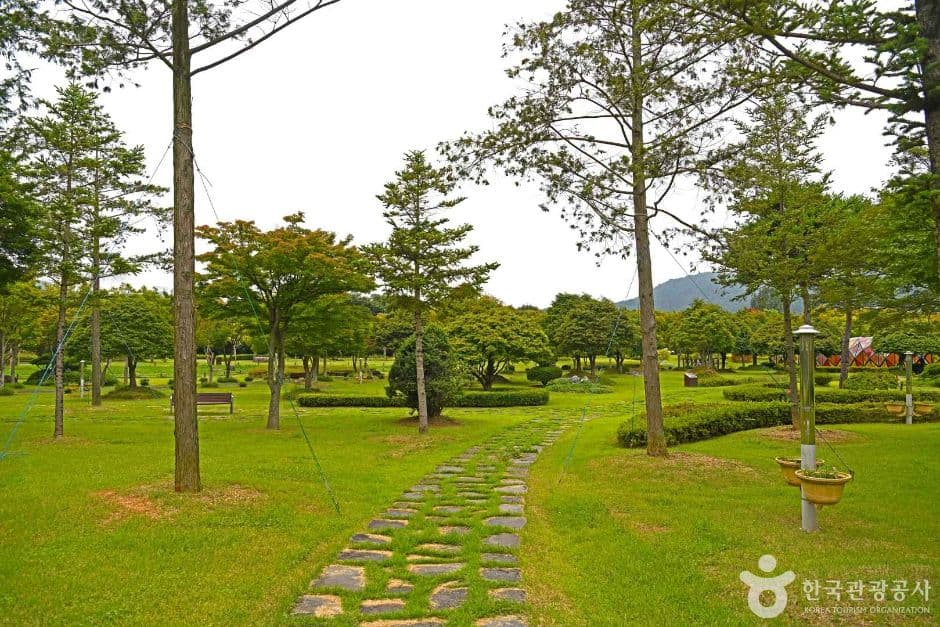 내장산 단풍생태공원 (3)