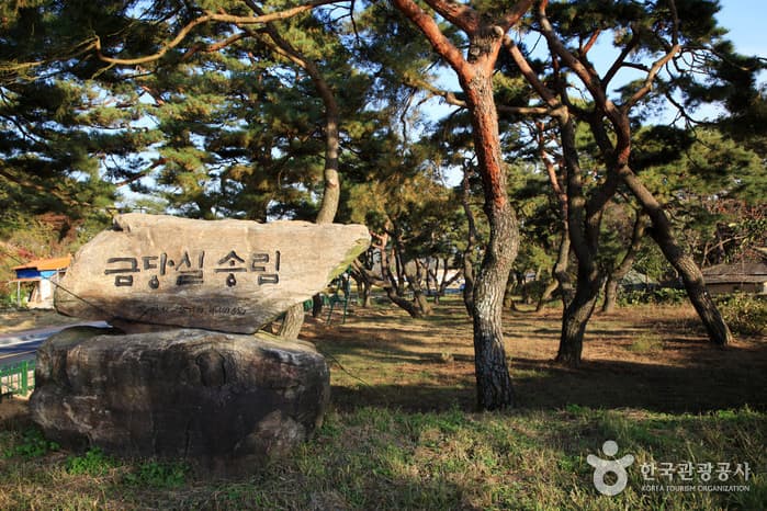 경북_김천_금당실마을 (6)