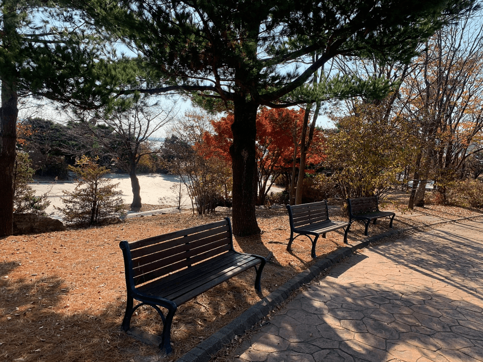 평택호예술공원_벤치