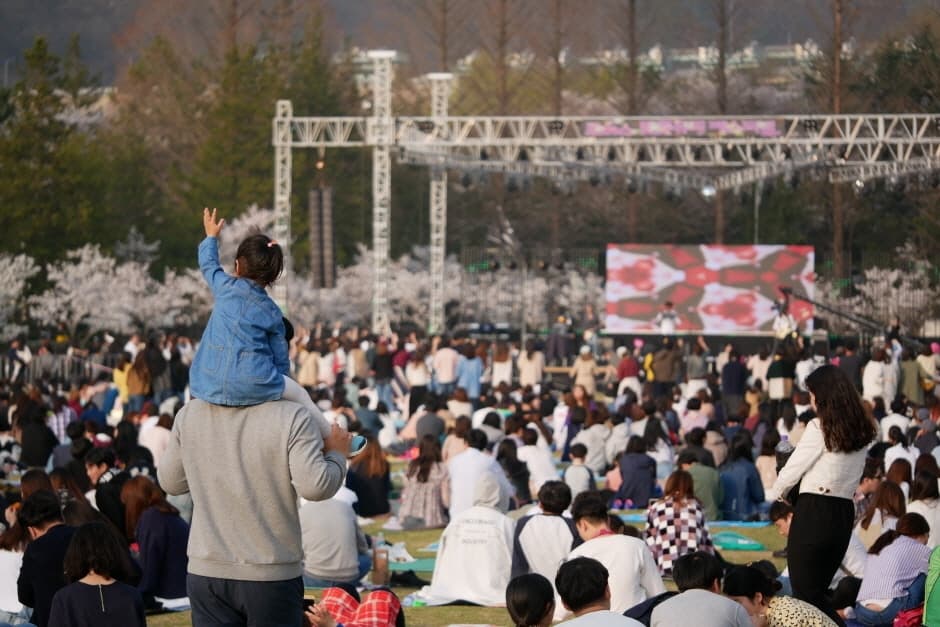 대덕물빛축제