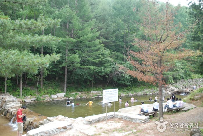 청옥산자연휴양림_07