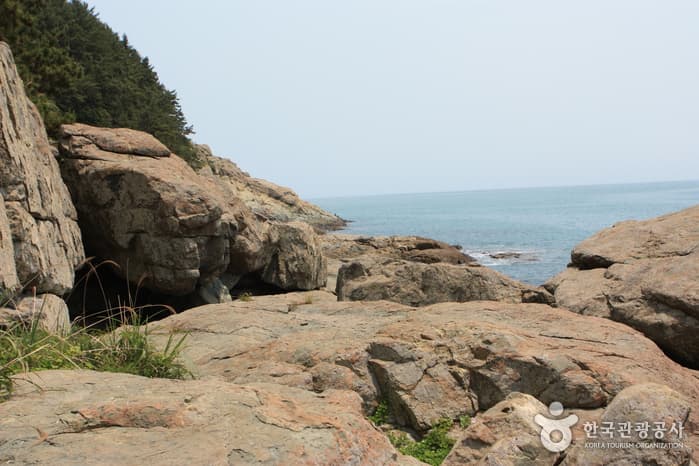 청산도항도50