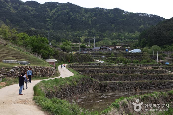전북_남원_지리산둘레길_인월~금계61