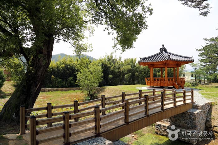 전남_해남_푸른 비에 마음이 젖어드는 곳13