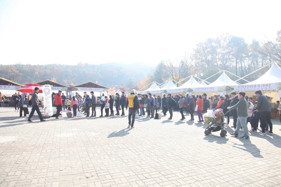 이천인삼축제 (3)
