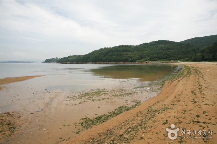황포해수욕장