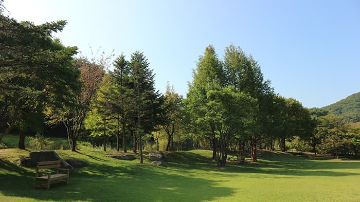 폐허에서도 예술은 꽃 핀다