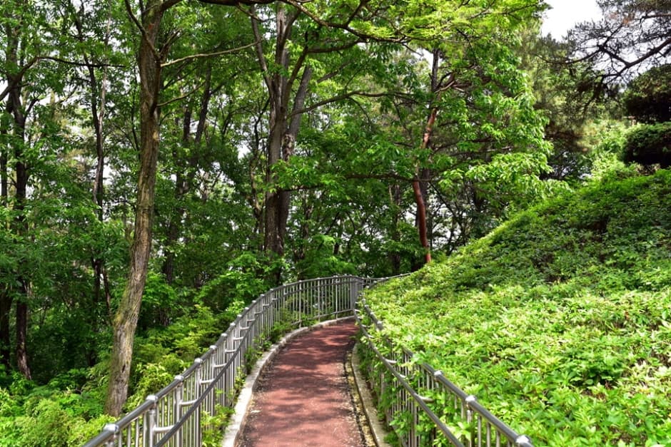 충북_청주_대청댐전망대_산책로