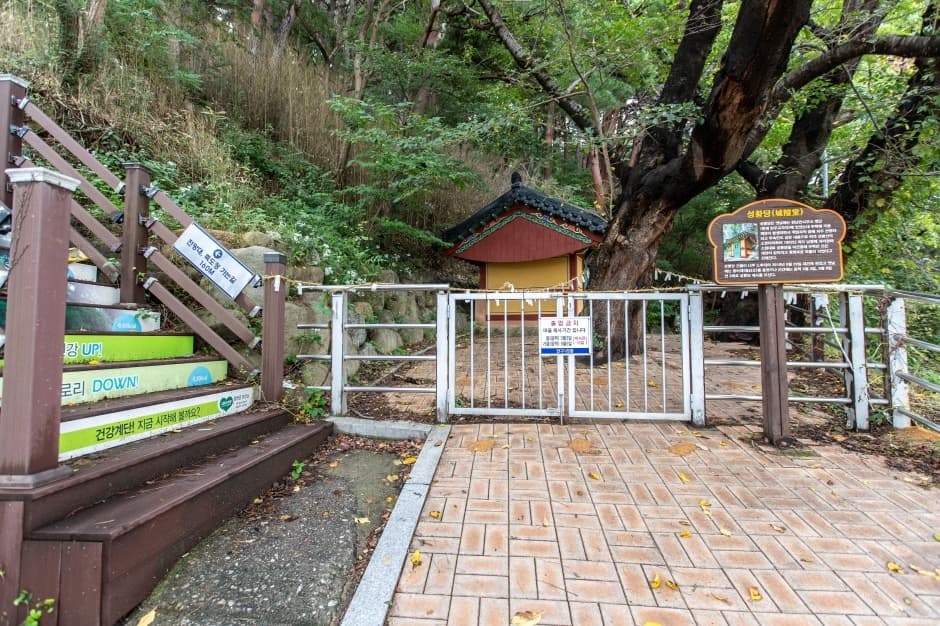 죽도정_3