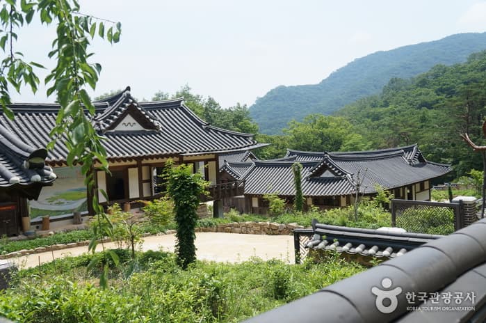 顺天传统野生茶体验馆순천전통야생차체험관