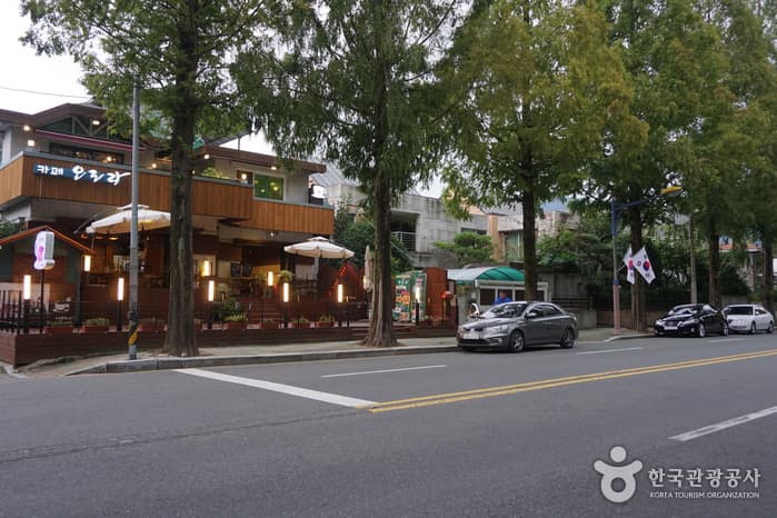 창원 가로수길(21)