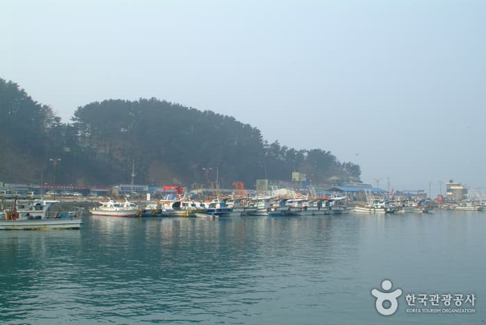 바닷가 풍경이 아름다운 곳에서 체험까지
