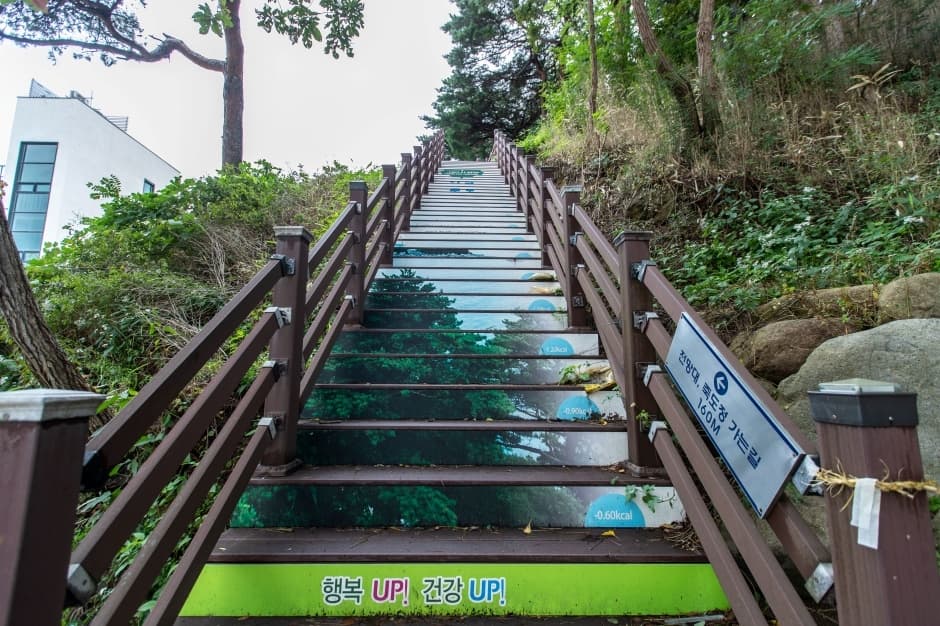 죽도정_4